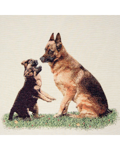 PANNELLI 47X47 CM MULTIANIMAL