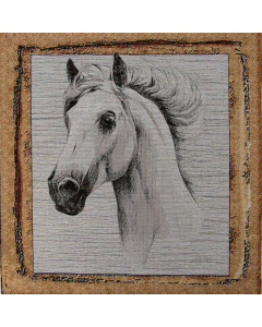 PANNELLI 47X47 CM MULTIANIMAL