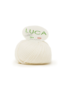 Filato Luca gomitolo da 100gr