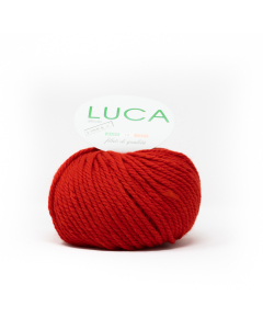 Filato Luca gomitolo da 100gr