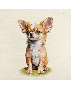 Pannelli 47x47 cm chihuahua