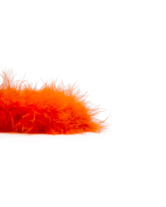 Marabou