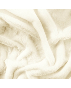 CASTORINO