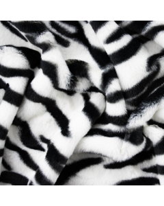 CASTORINO TIGRE