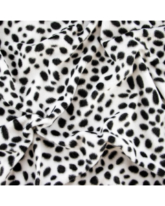 CAVALLINO DALMATA