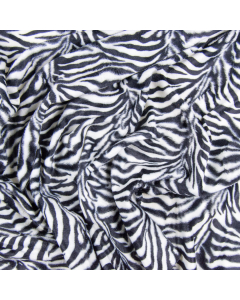 CAVALLINO ZEBRA