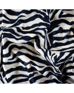 CAVALLINO TIGRE