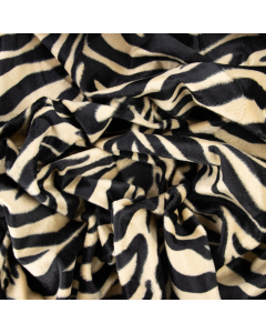 CAVALLINO TIGRE