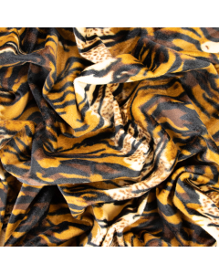 CAVALLINO TIGRE