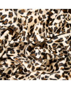 CAVALLINO LEOPARDO