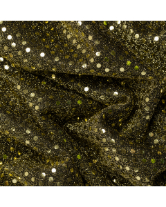 PAILLETTES