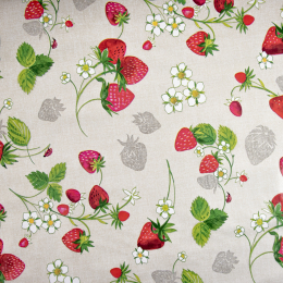 CERATA FANTASIA FRAGOLE