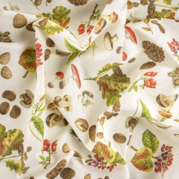 LONETA RAFFAELE NOCE