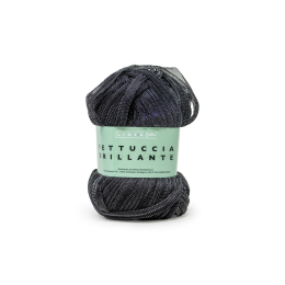 Fettuccia Brillante gomitolo da 100g