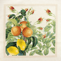 PANNELLI 47X47 AGRUMI