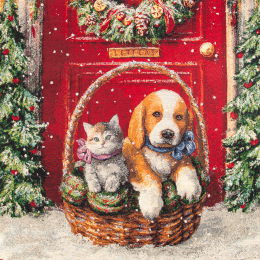 Pannelli 47x47 cm cuccioli Natale