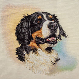 Pannelli 47x47 Jordan