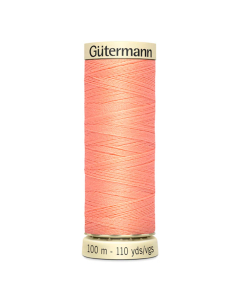 Filo gütermann 100 mt Cucitutto