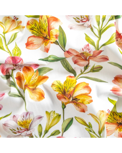 DRILL COTONE DIGITALE GIGLI