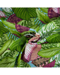 LONETA RAFFAELE NASTIA