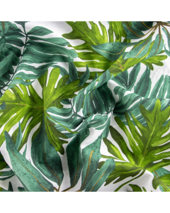 LONETA RAFFAELE KIMO