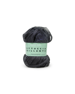 Fettuccia Brillante gomitolo da 100g