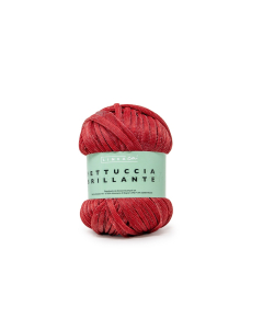 Fettuccia Brillante gomitolo da 100g