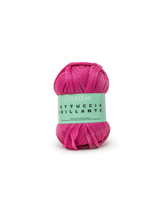 Fettuccia Brillante gomitolo da 100g