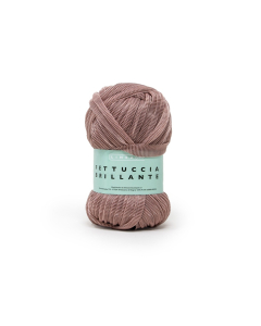 Fettuccia Brillante gomitolo da 100g