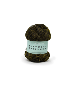 Fettuccia Brillante gomitolo da 100g