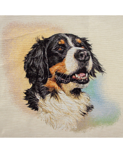 Pannelli 47x47 Jordan