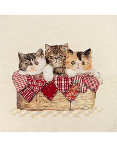 Pannello gatti nella cesta