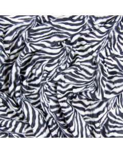 cavallino zebra