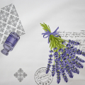 BIANCO/LAVANDA