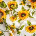 BIANCO/GIALLO