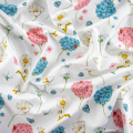 ROSA/AZZURRO