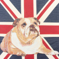 BULLDOG UK
