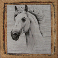 CAVALLO BIANCO
