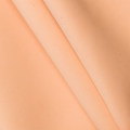 CARNE