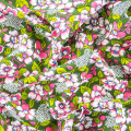 FUCSIA/VERDE