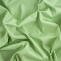VERDE SALVIA