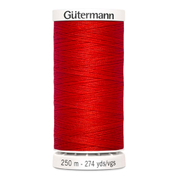 Filo gütermann 250 mt Cucitutto