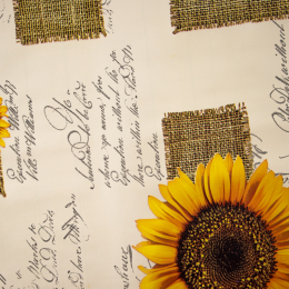 CERATA FANTASIA GIRASOLI