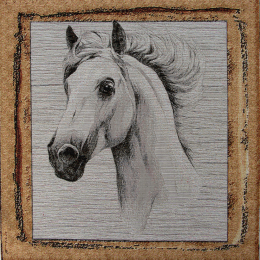 PANNELLI 47X47 CM MULTIANIMAL