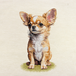 Pannelli 47x47 cm chihuahua