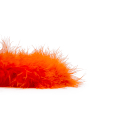 Marabou