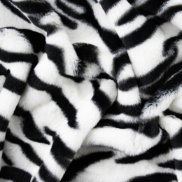 CASTORINO TIGRE