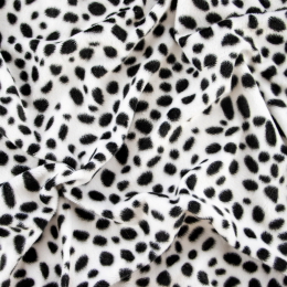 CAVALLINO DALMATA