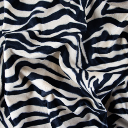 CAVALLINO TIGRE